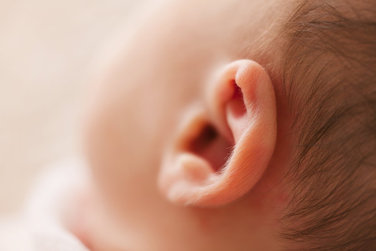 ucho małego dziecka